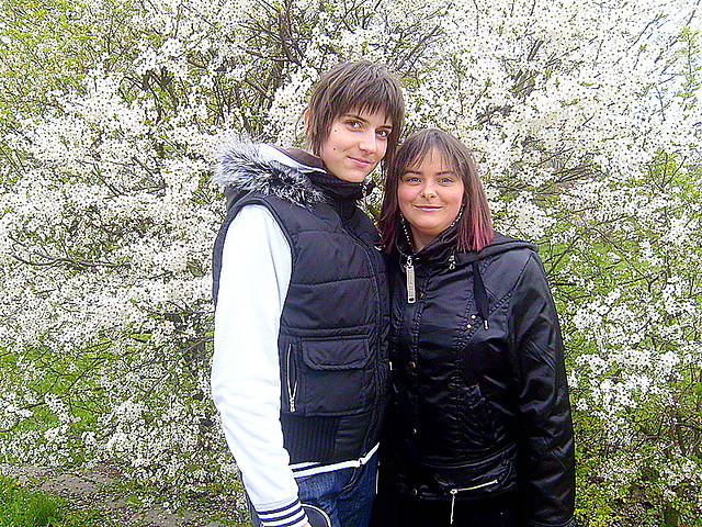 Bo Z NiA ;***