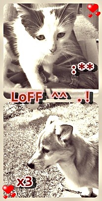 moje :* / :((((((