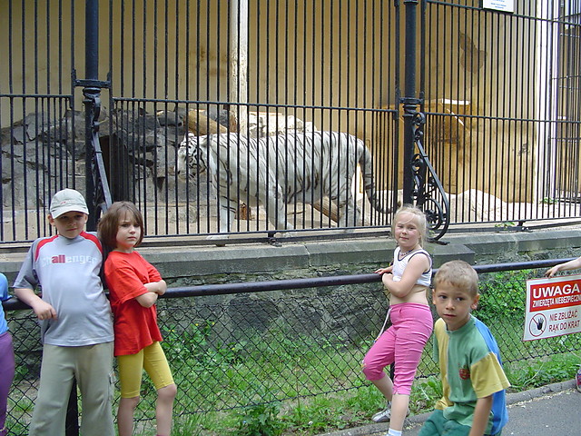 przedszkole