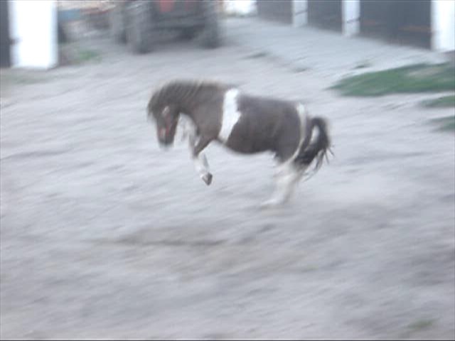 Koniec!