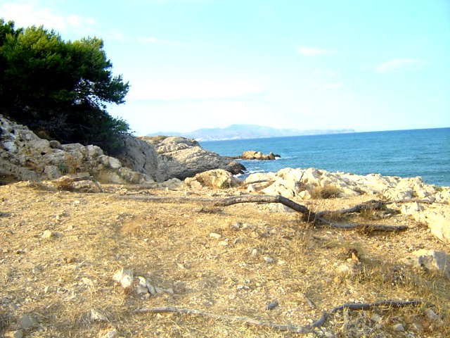 Zaktek,
