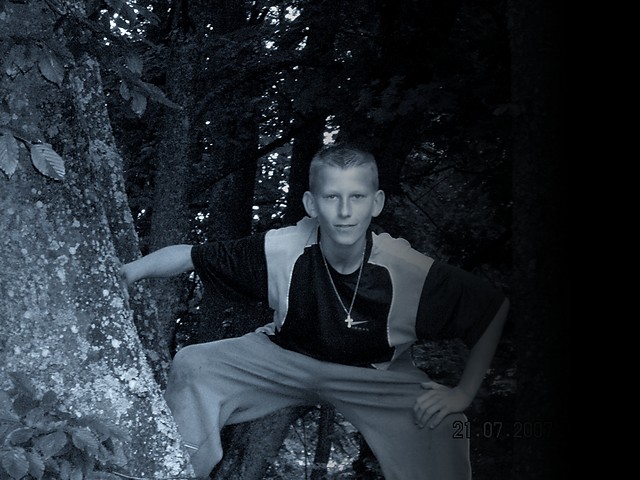 w Pelinie