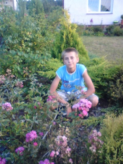 Wpis mariuszek09874