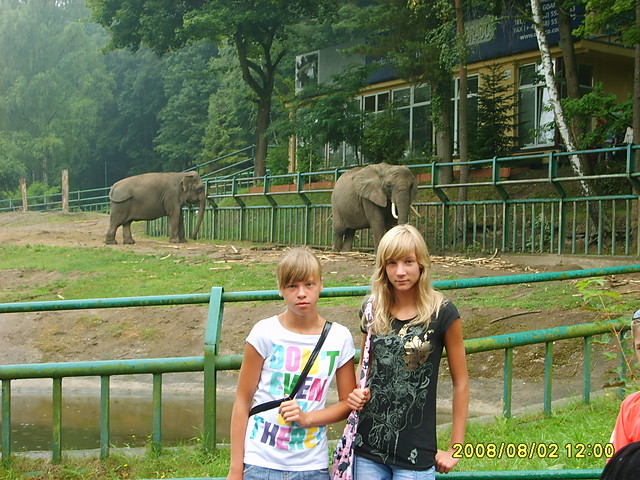 Slonikii ;)
