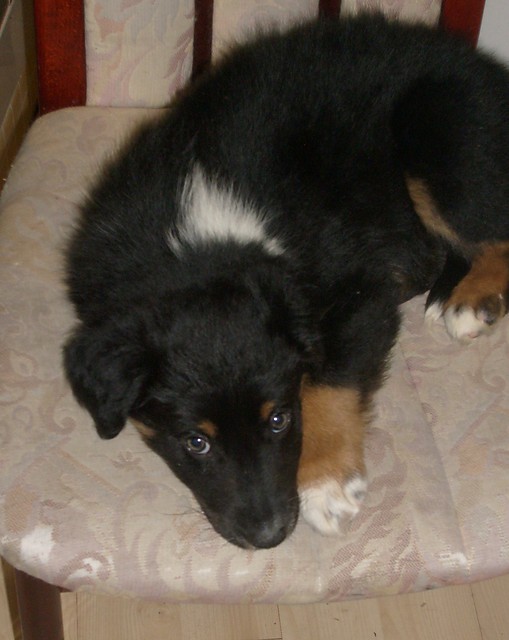  sodziak ;*