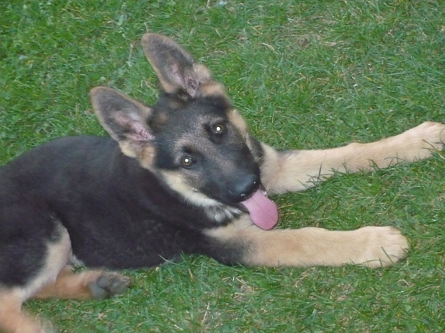 Hey!