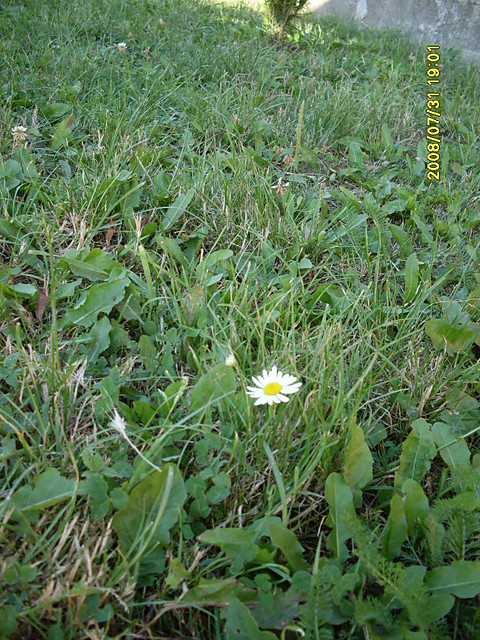 http://photoblog.pl/niezwyklosc