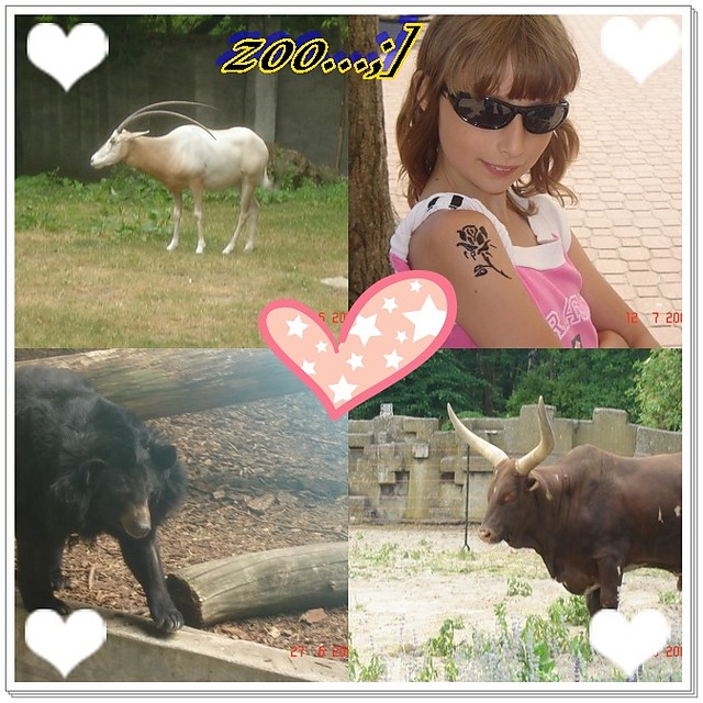 Zoo ;]