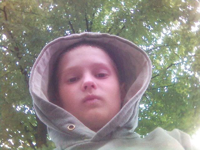 Wpis kista