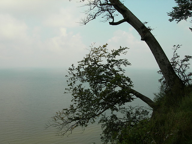 Wpis bosanova