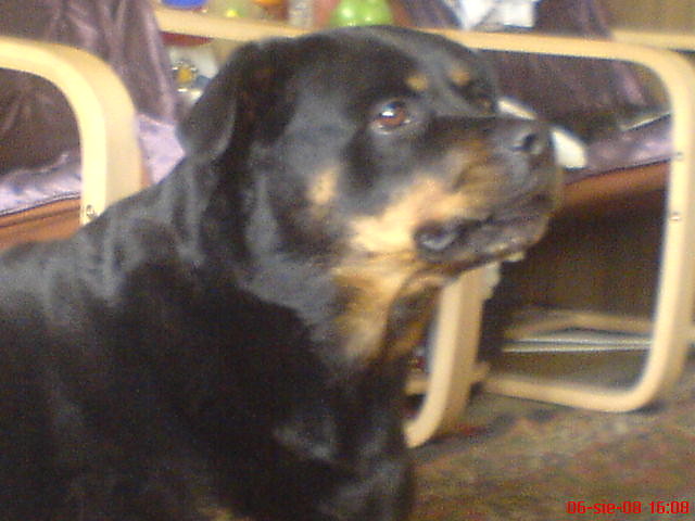 Zunia:)