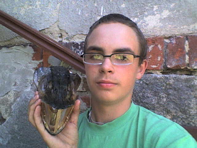 Wpis ziemniak994