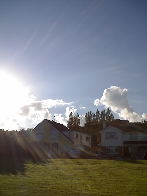 3.