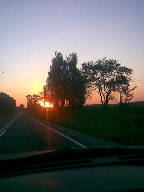 Route 79
