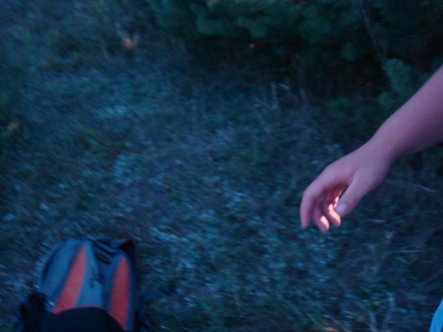 Wpis ciotaaa