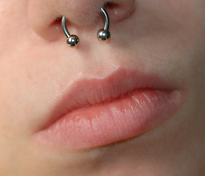 septum.