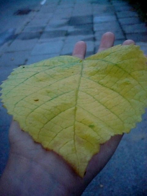Wpis koolorowemarzenia