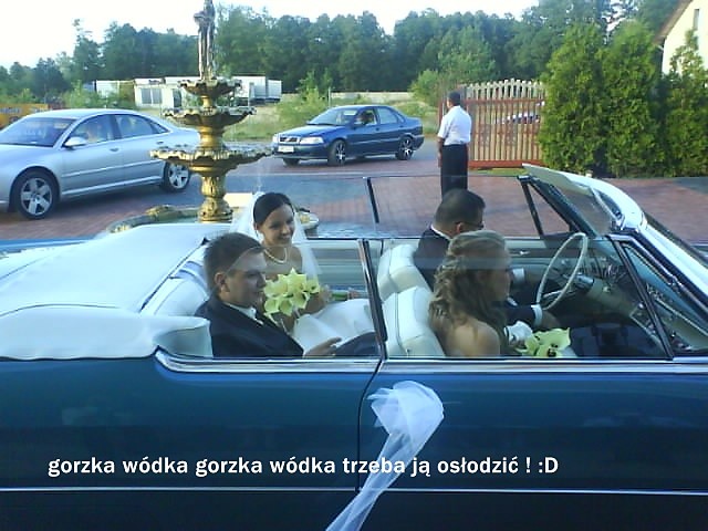 Wpis xpaulaxx