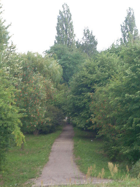 szerokiej drogi ^^ 