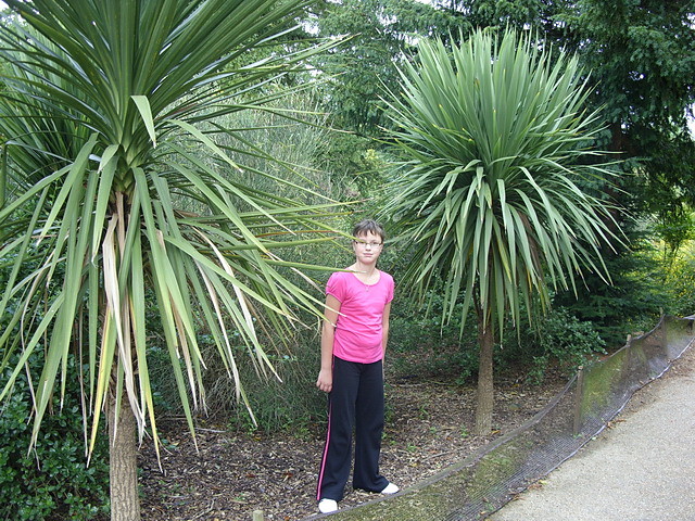 Park Tunbridge Wells