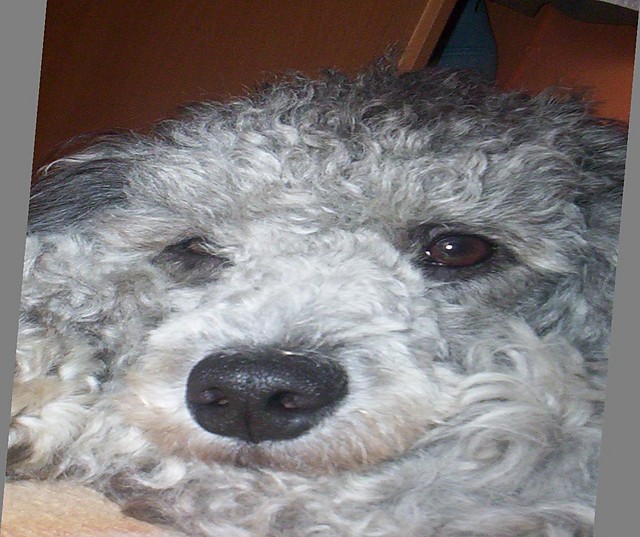     ^^Umiechnij si^^