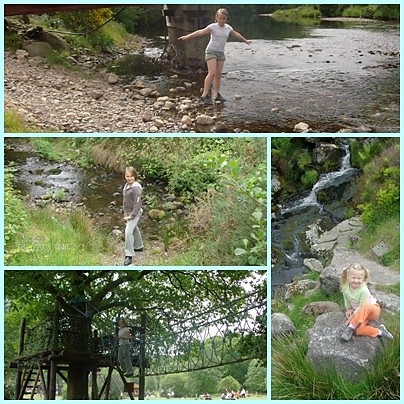 pikne wicklow