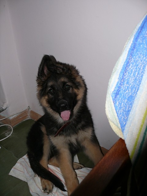 Wpis mychal