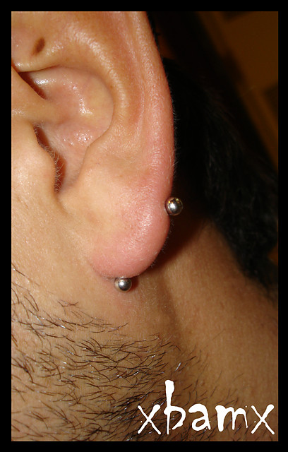 lobe