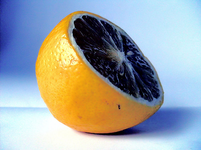 Wpis maxima
