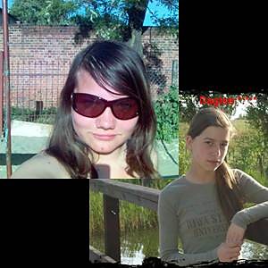 Z Ni:***