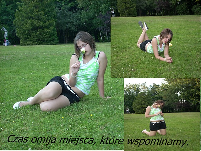 Wpis calyczasswiata