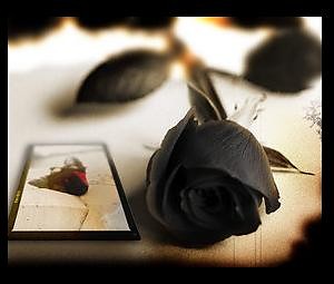 L'amour, mon demon qui m'obsede 