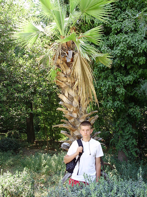 Grecja 2008 :D