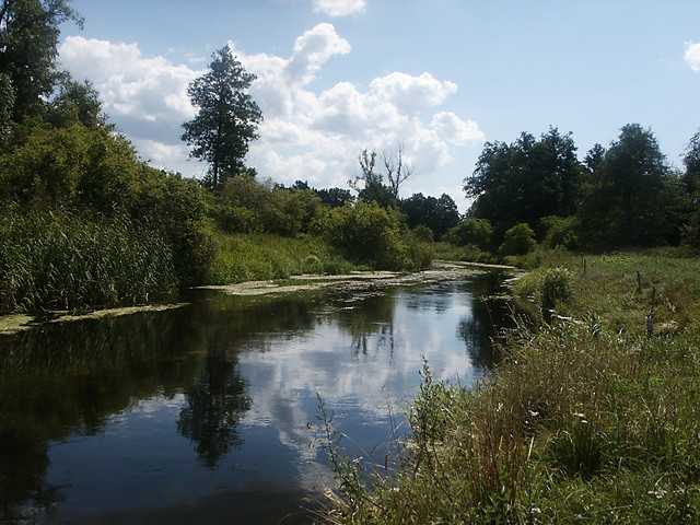 krajobraz rzeki