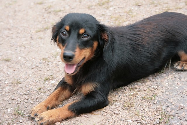 Lusinka :)