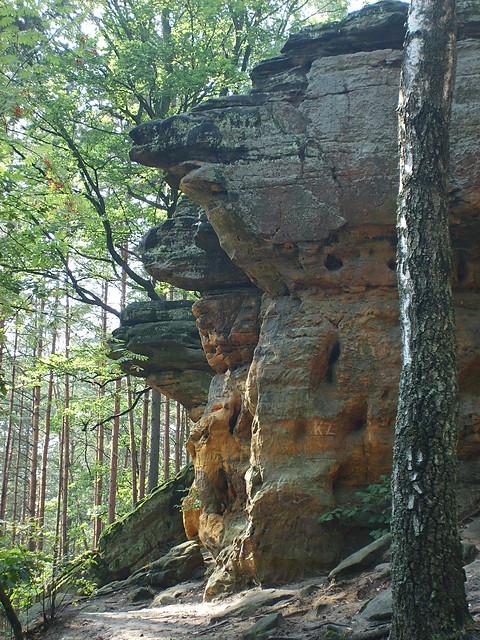 Wpis sylvishka