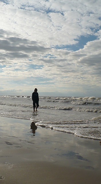 Stegna `08
