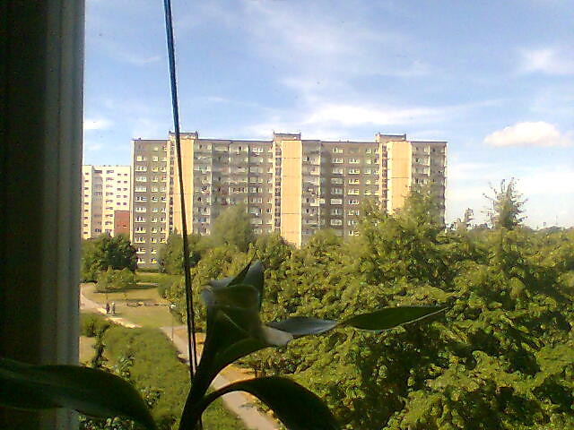 Wpis 4laseczki
