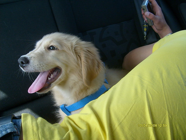 Charlie;)