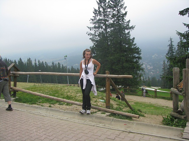 Wpis ptyska