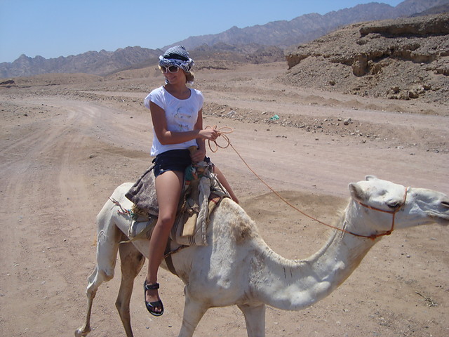 Camel ;)