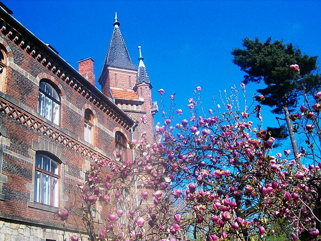 Paac eleskich