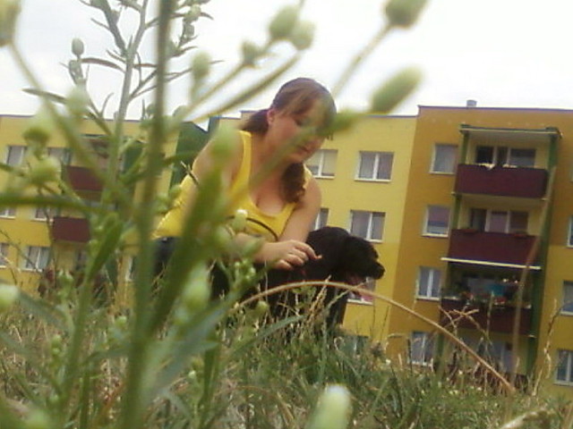 z moj Dorci
