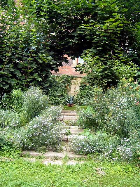 Park przypaacowy