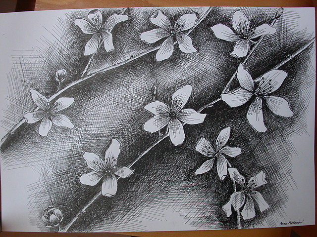 Winia