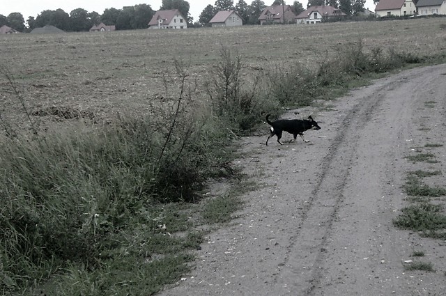 Wpis koszmarnie