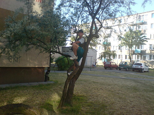Wpis rad89kas