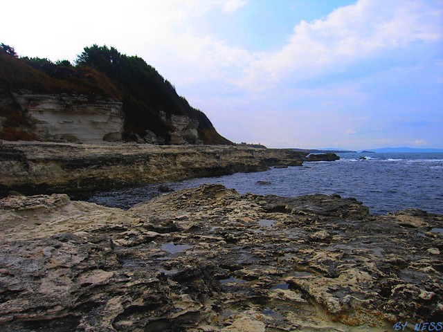 Wpis ness91