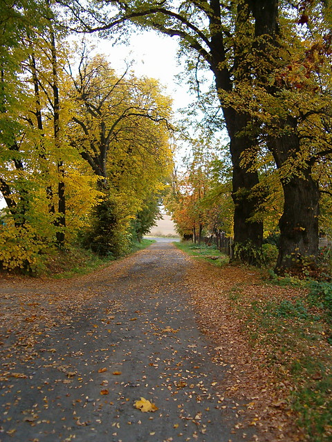 Grodkowice 1
