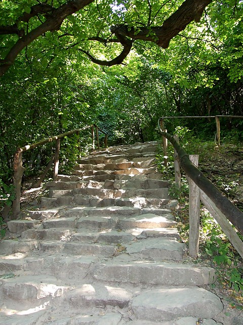 Wpis lapieostrosc